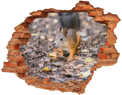 Diera 3D fototapeta na stenu Veverička
