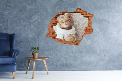 Fototapeta nálepka na stenu Mačiatko v svetri