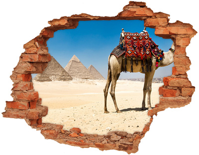 Nálepka 3D diera na stenu Camel v káhire