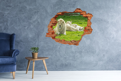Fototapeta diera na stenu Béžové levy