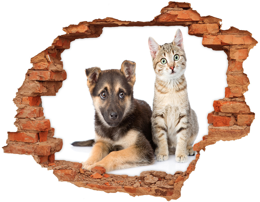 Diera 3D fototapeta na stenu Pes a mačka