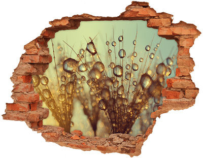 Nálepka 3D diera na stenu Púpava semená