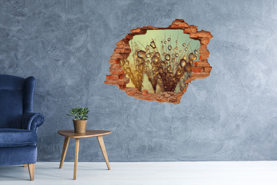 Nálepka 3D diera na stenu Kvapky na jemné vlasy