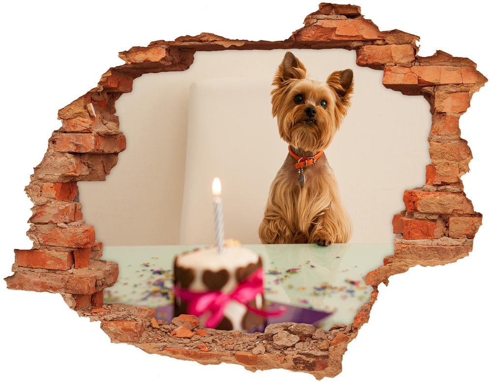 Fototapeta diera na stenu Pes s koláčom