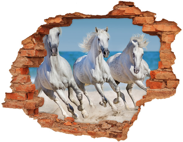 Diera 3D fototapeta na stenu White horse beach