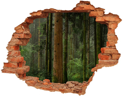 Fototapeta diera na stenu Hmla v lese