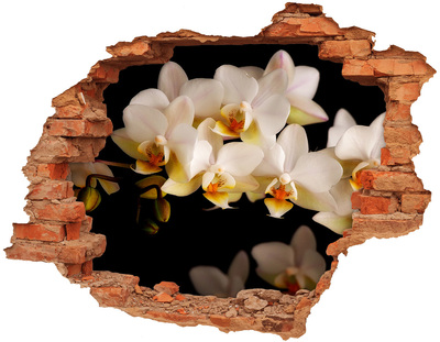 Nálepka fototapeta 3D výhľad Orchidea