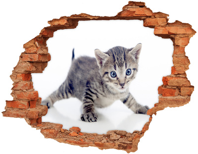 Samolepiaca nálepka na stenu Malá mačka