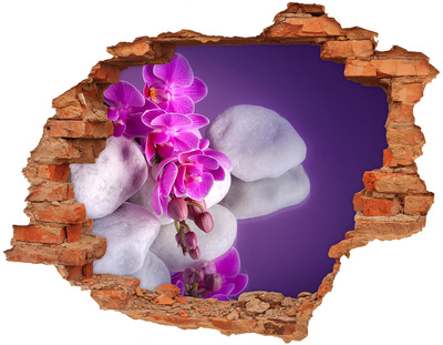 Nálepka 3D diera na stenu Orchidea