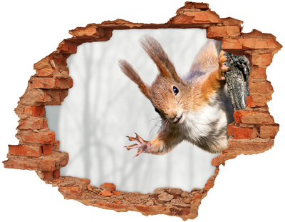 Fototapeta diera na stenu 3D Veverička