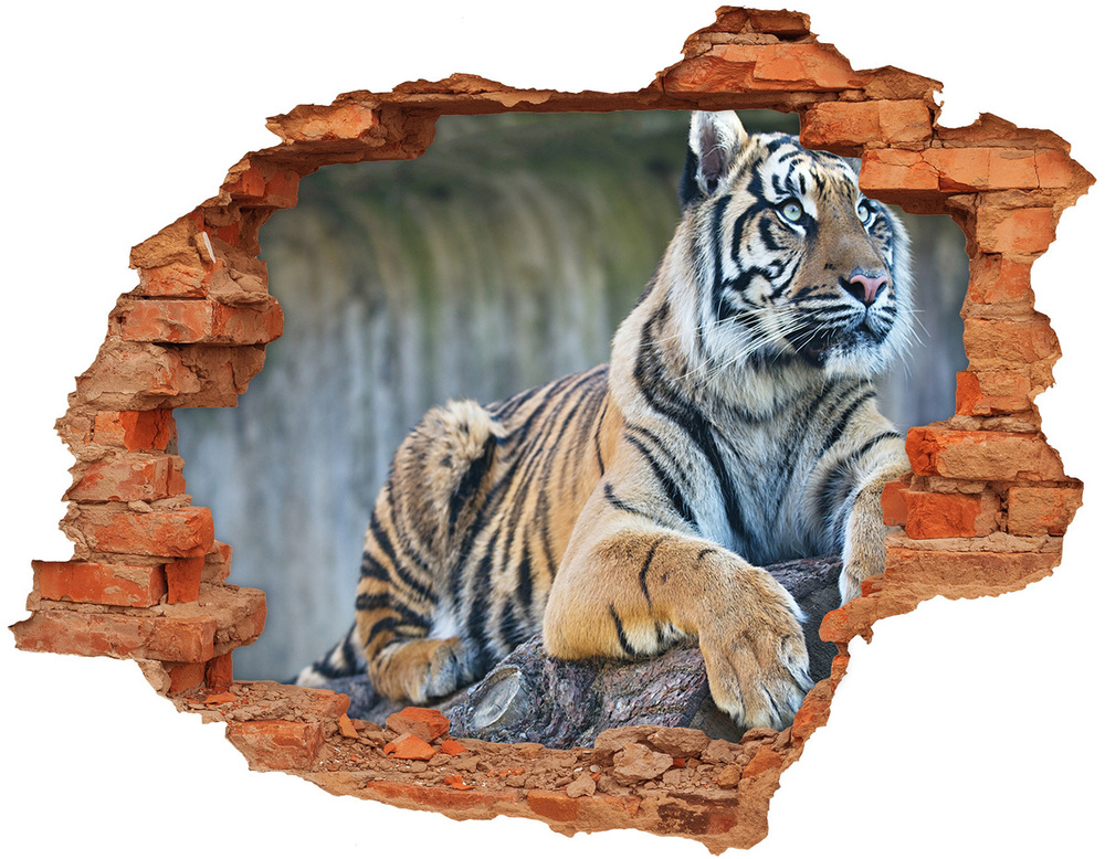 Samolepiaca diera na stenu Tiger
