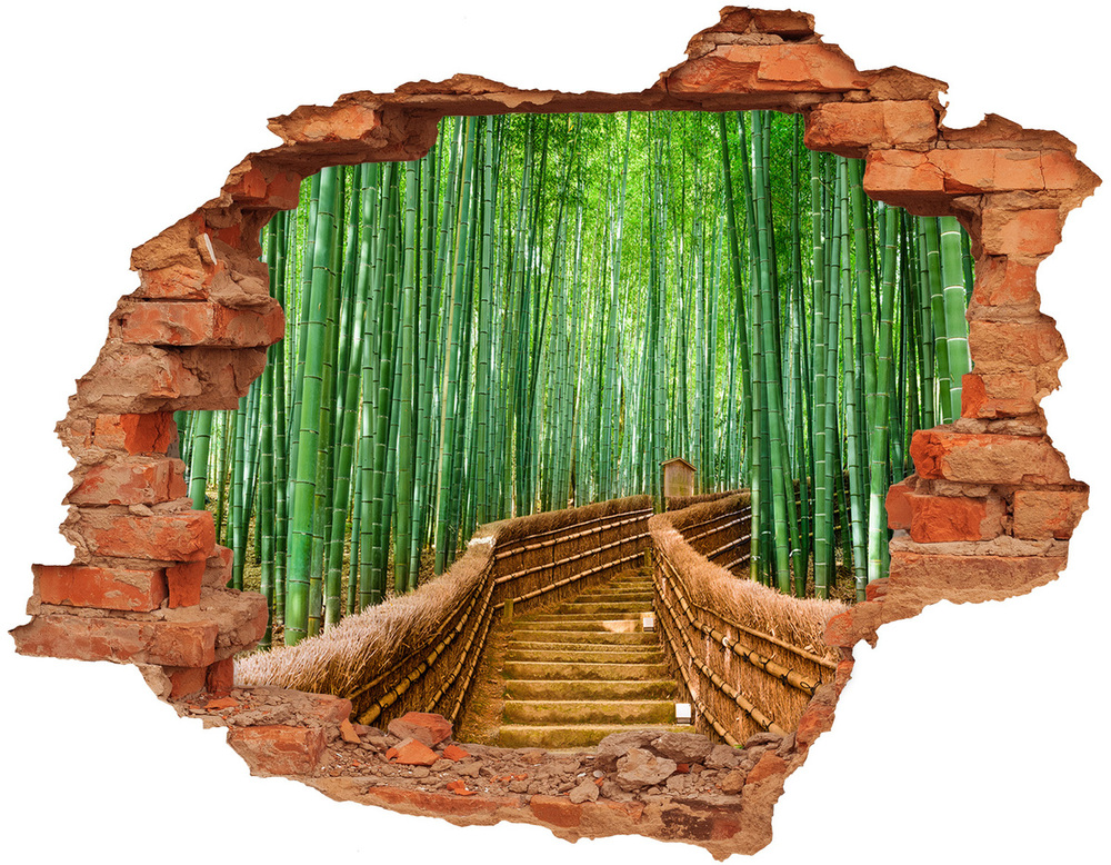 Foto fotografie diera na stenu Bambusové lesy
