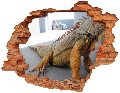 Fototapeta diera na stenu Iguana