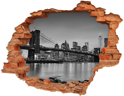Fototapeta diera na stenu New york