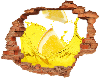 Fototapeta diera na stenu Plátky citróna