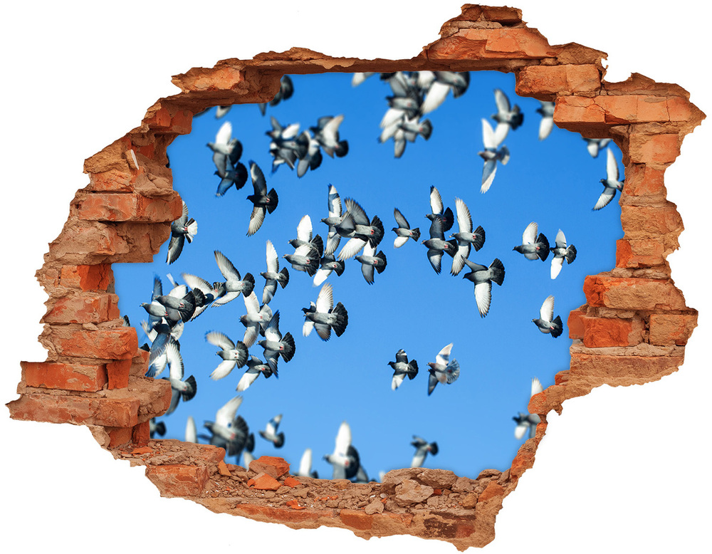 Fototapeta diera na stenu Kŕdeľ holubov
