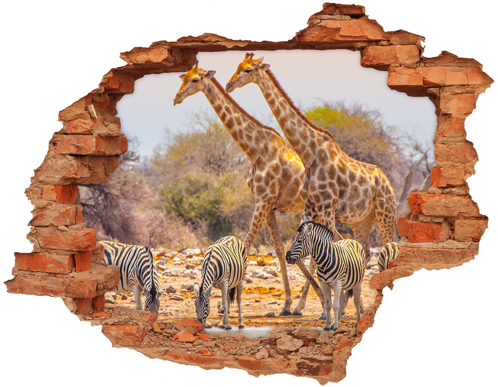 Samolepiaca nálepka Žirafy a zebry