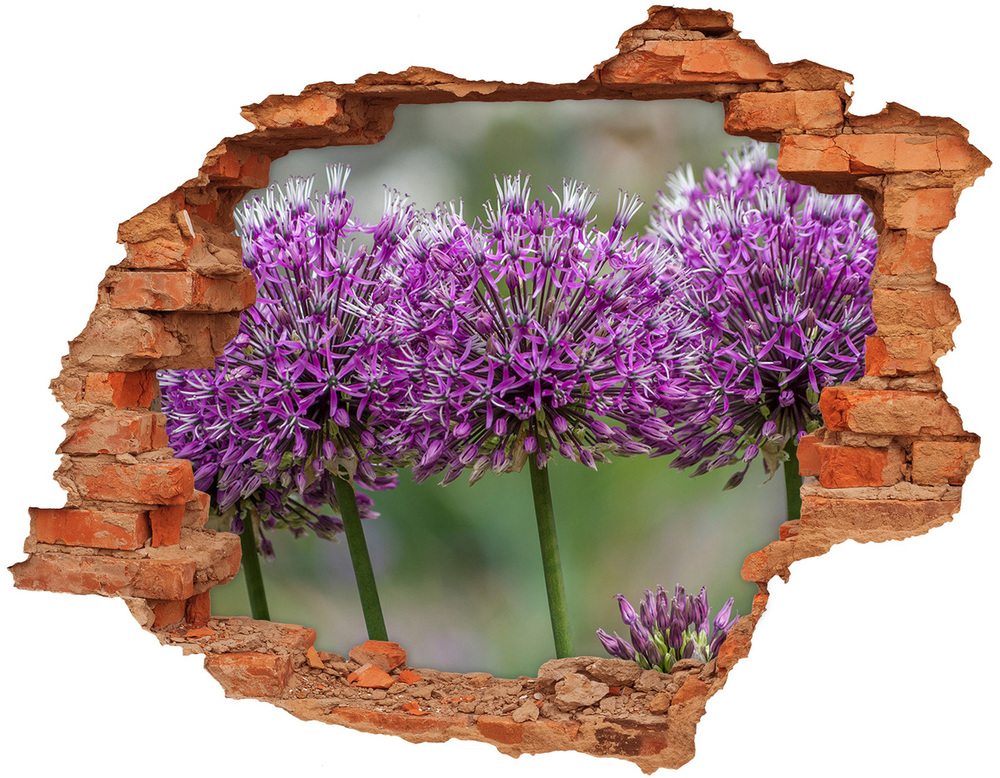 Nálepka 3D diera na stenu Cesnak kvet