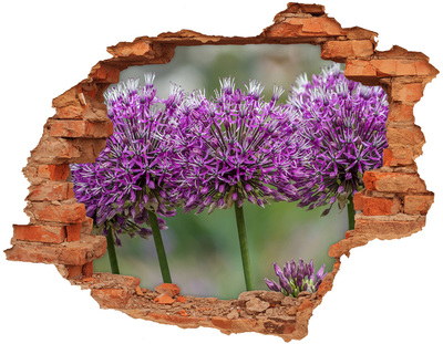 Nálepka 3D diera na stenu Cesnak kvet