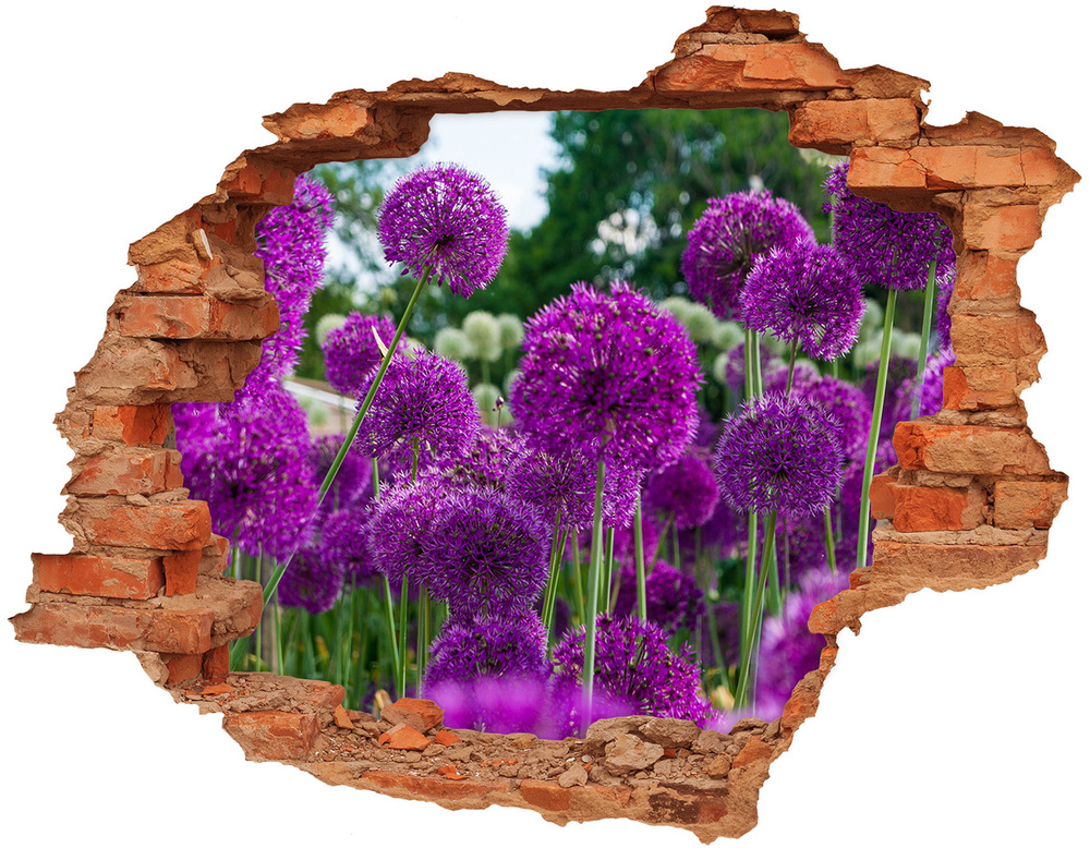 Samolepiaca diera nálepka Kvety cesnak