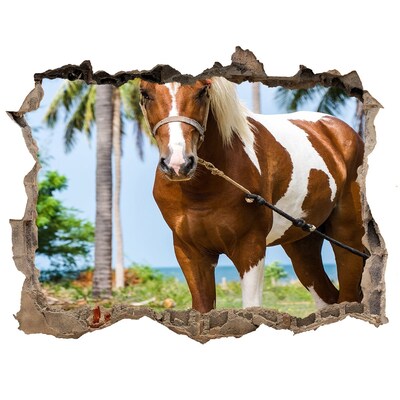 Díra 3D fototapeta nálepka Pinto kôň