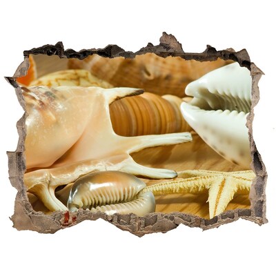 Samolepící díra na stěnu Morské poklady