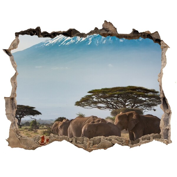 Díra 3D fototapeta Africká savana so slonmi
