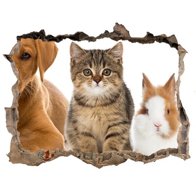 Díra 3D fototapeta na stěnu Priatelia navždy