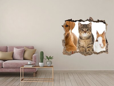 Díra 3D fototapeta na stěnu Pes a mačka