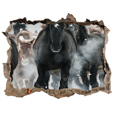 Fototapeta díra na zeď Kone cválajúce cez múr