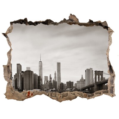 Fototapeta díra na zeď Manhattan new york city