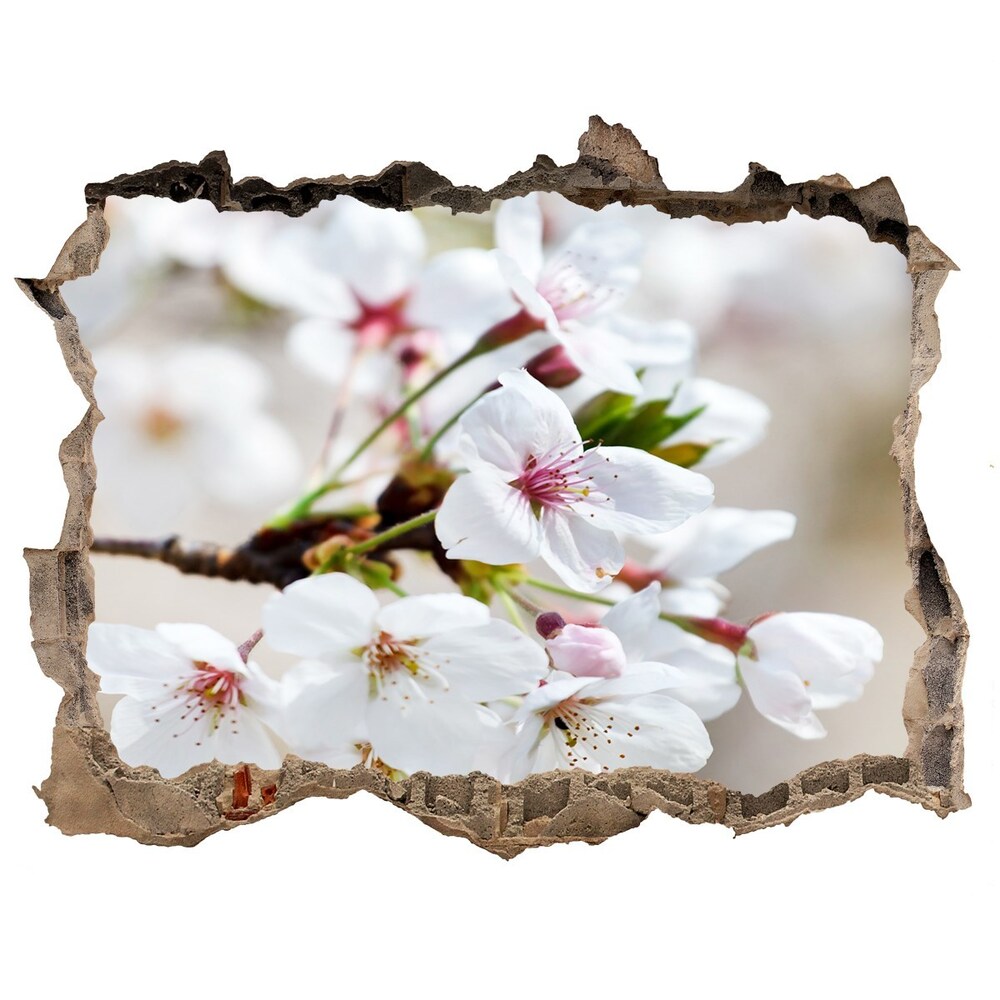 Samolepící nálepka na zeď Čerešňové kvety