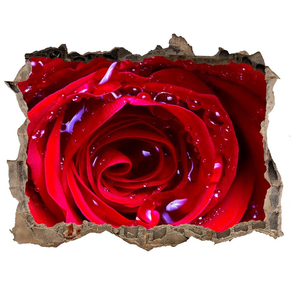 Samolepící nálepka na zeď Kvet ruže