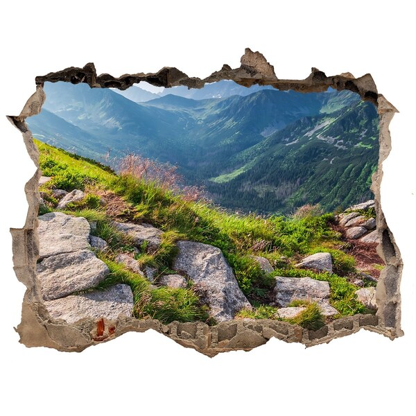 Fototapeta díra na zeď Výhľad na hory s údolím