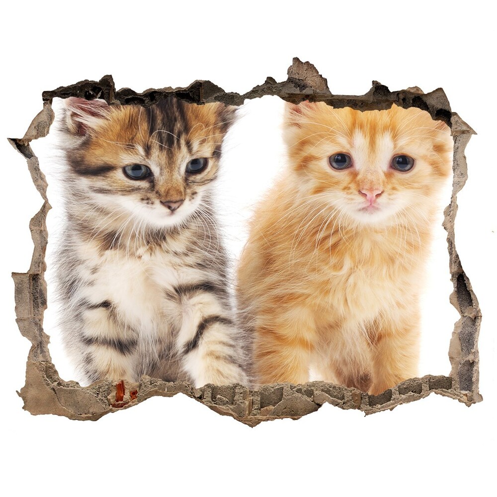 Díra 3D fototapeta na stěnu Hnedé a zázvor cat
