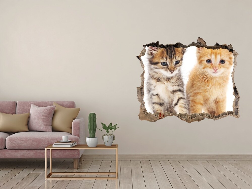 Díra 3D fototapeta na stěnu Hnedé a zázvor cat