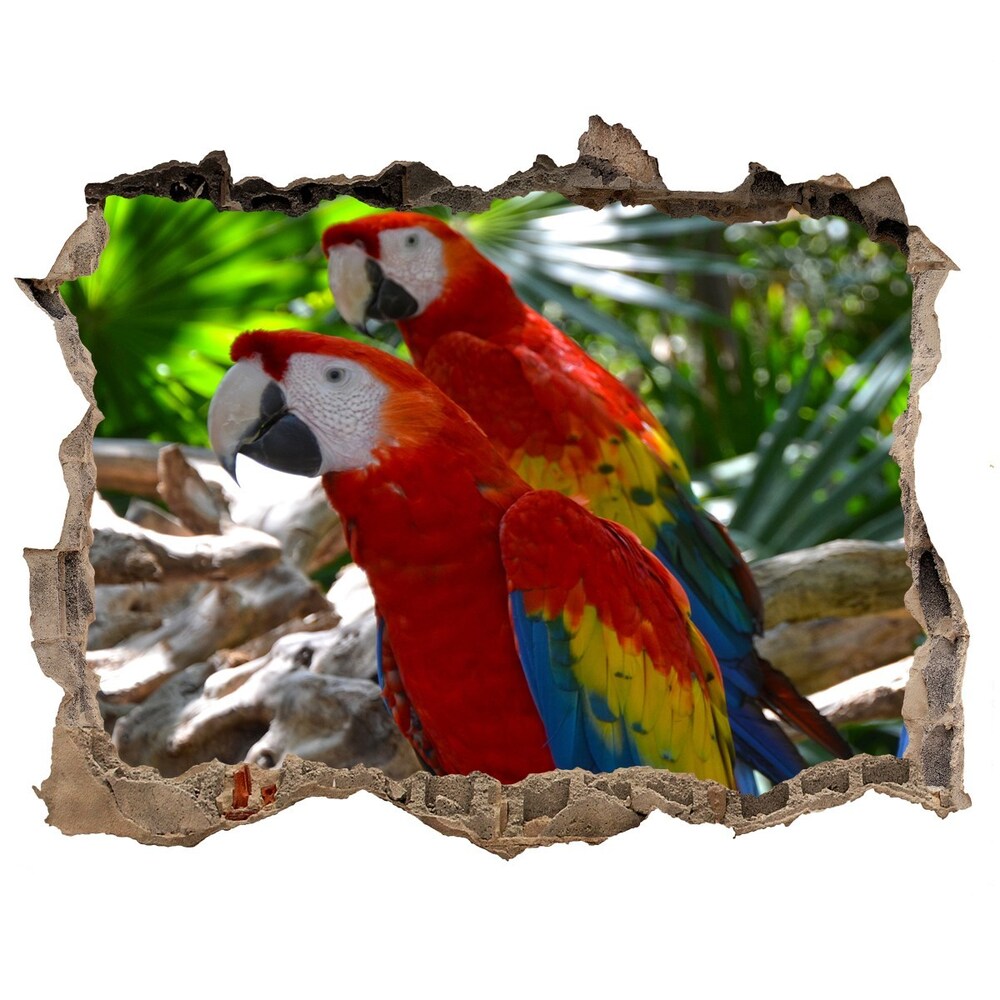 Díra 3D fototapeta nálepka Papagáje ara