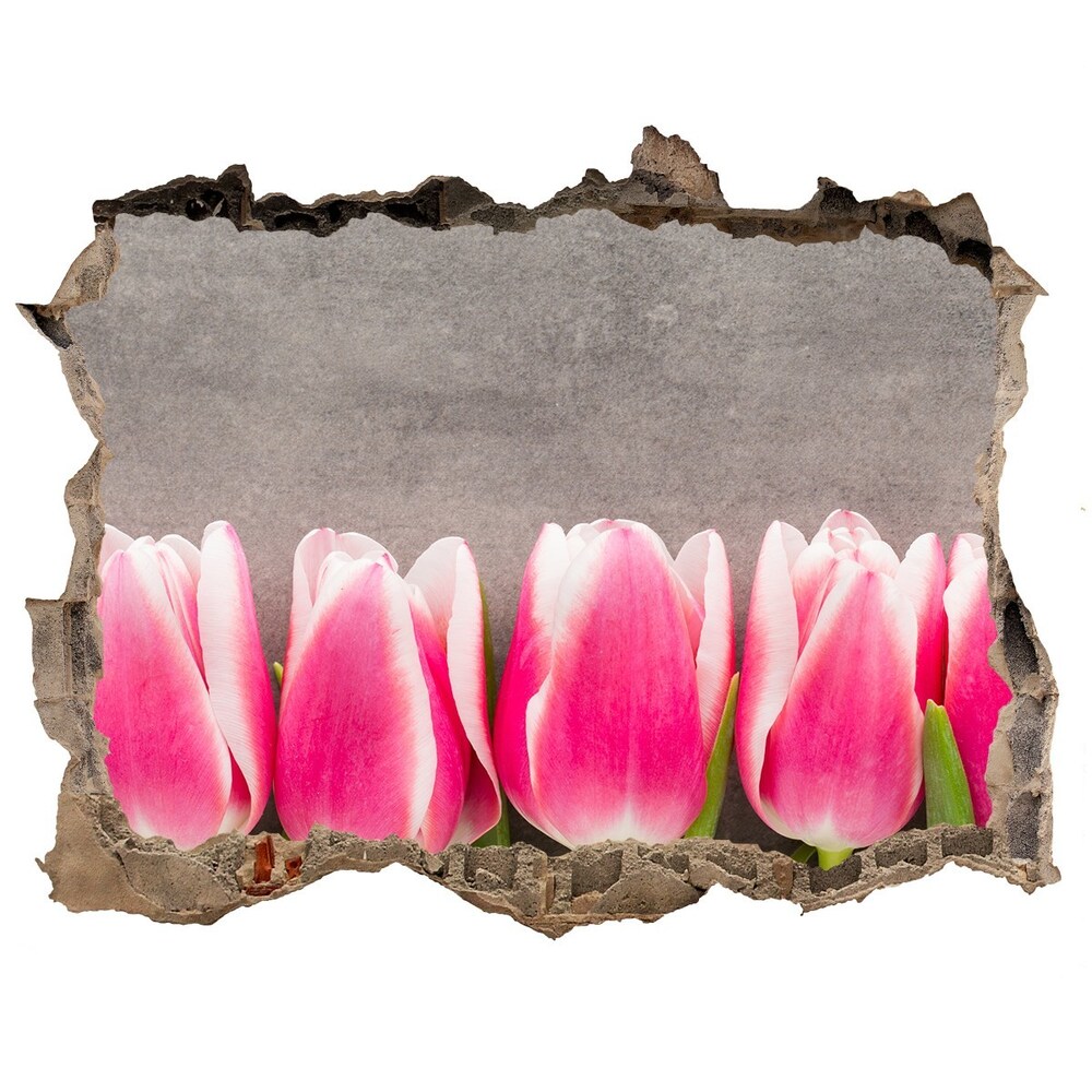 Samolepící nálepka na zeď Ružové tulipány