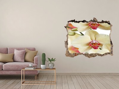 Fototapeta nálepka na zeď Orchidey v rozbitej stene