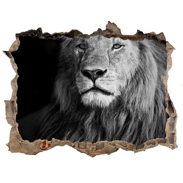 Díra 3D fototapeta nálepka Lev v diere v stene