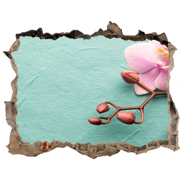 Samolepící nálepka fototapeta Kvet orchidey v poškodenej stene