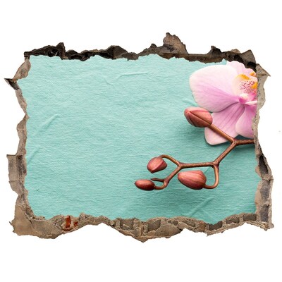 Samolepící nálepka fototapeta Kvet orchidey v poškodenej stene