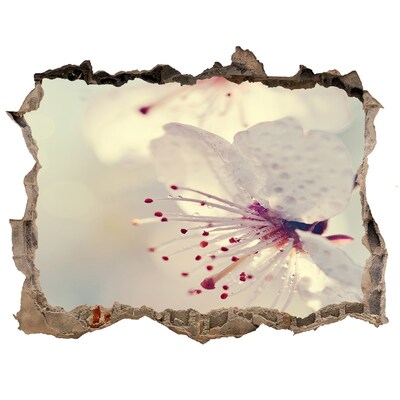 Samolepící nálepka na zeď Čerešňový kvet