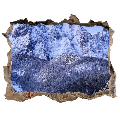 Fototapeta díra na zeď Horská krajina v zimnej scenérii