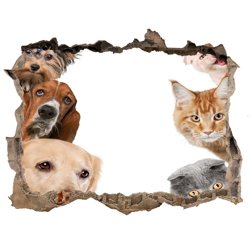 Díra 3D fototapeta na stěnu Psy a mačky