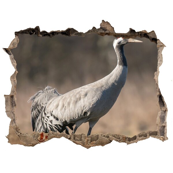 Díra 3D fototapeta nálepka Žeriav v jeho prirodzenom prostredí