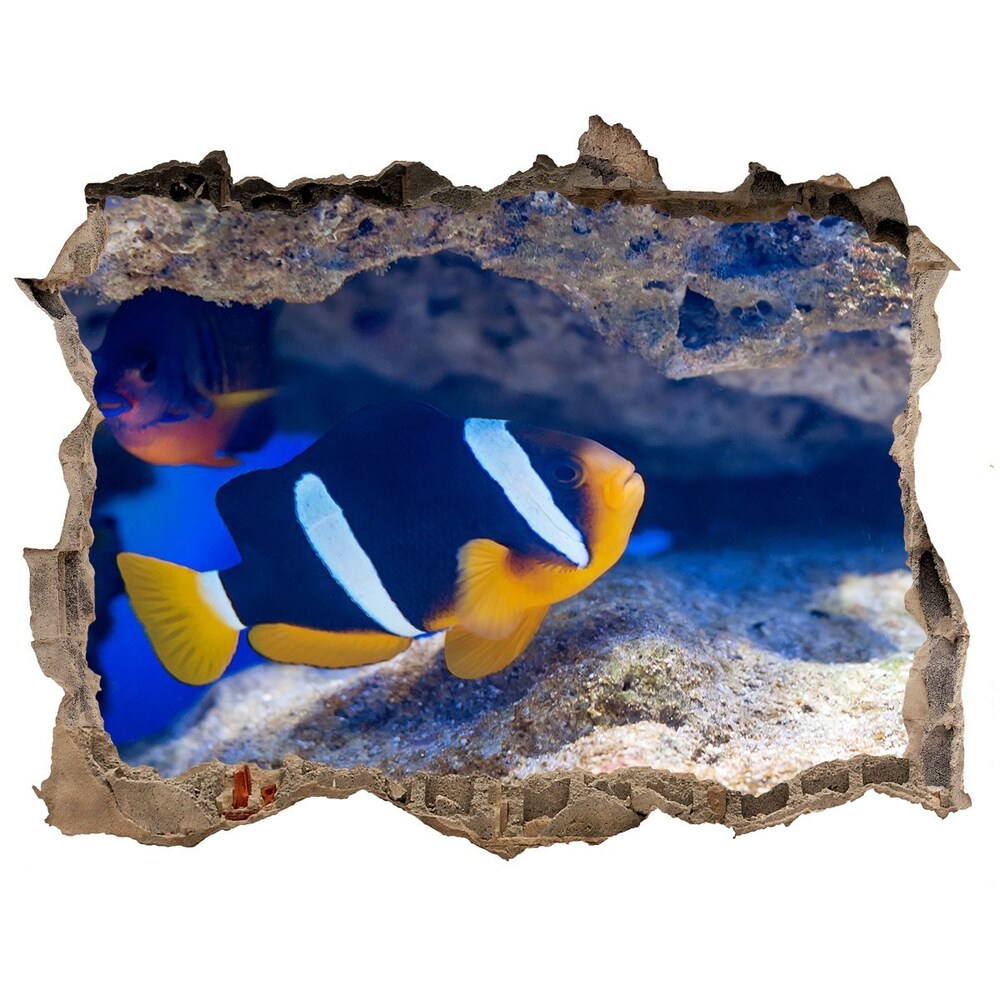 Díra 3D fototapeta nálepka Tropická ryba