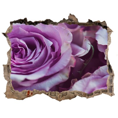 Fototapeta nálepka na zeď Fialové ruže