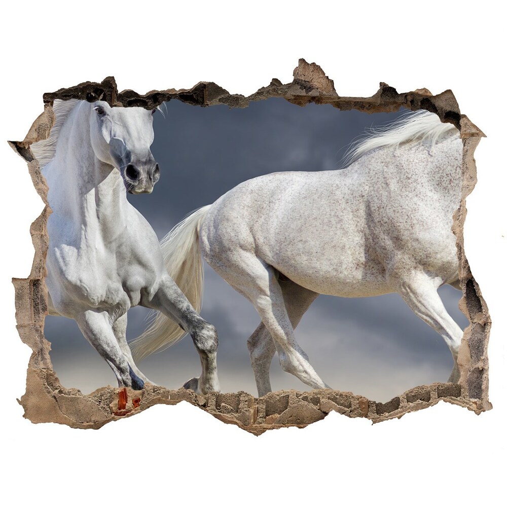 Díra 3D fototapeta na stěnu White horse beach