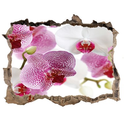 Fototapeta nálepka na zeď Nástenné maľby orchidea